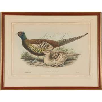 John Gould (British, 1804-1881) and William Matthew Hart (British, 1830-1908) A Selection of Three Plates from John Gould's "Birds of Australia" and "Birds of Asia"