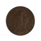 1793 Large One Cent Flowing Hair/Wreath Coin
