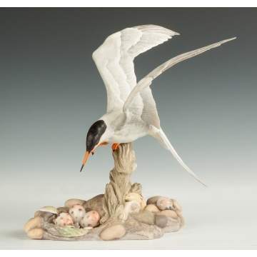 Boehm Porcelain "Common Tern"