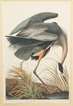 John James Audubon (American, 1785-1851) "Great Blue Heron"