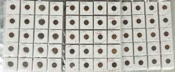 Collection of Indian Head Pennies