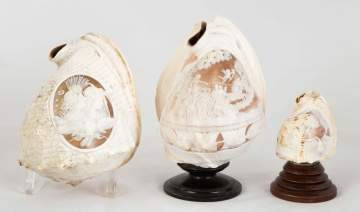 19th Century Carved Conch Shells