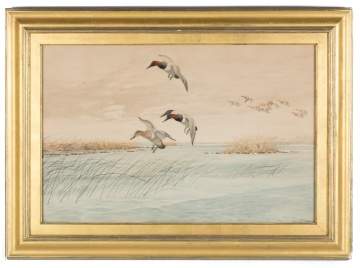 Louis Agassiz Fuertes (American, 1874-1927) Mallard Ducks in a Marsh