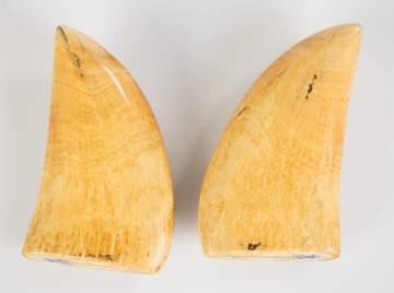 Pair of 19th C. Polychrome Scrimshaw Whale's Teeth
