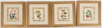 Four Merian Framed Botanical Hand Colored Engravings