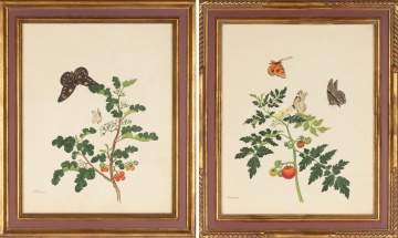 Two Chinese Botanical Watercolors