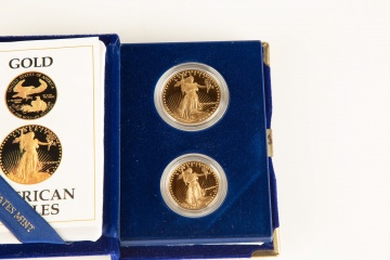 US American Eagle Proof Gold Bullion Coins