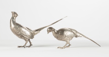 (2) Silver Pheasants