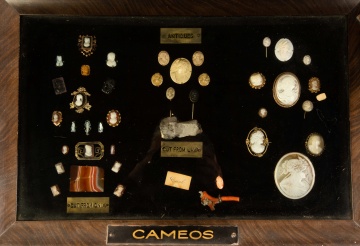 Display Case with Various Objects