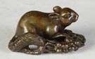 Oriental Bronze Squirrel