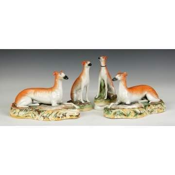Staffordshire Whippets