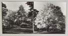 Ansel Adams (American, 1902-1984) Two Photographs
