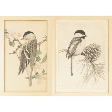 Charles Emile Heil  (MA, 1870-1950), Watercolor & etching of birds