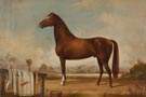 Robert  W. Hanington (American, Mid. 19th cent.) Portrait of the Horse "Index"