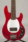Jay Turser Five String Stingray Bass Copy