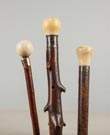 Three Rustic Wood Canes with Rounded Handles