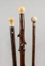 Three Rustic Wood Canes with Rounded Handles