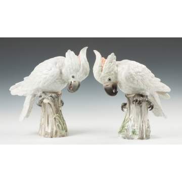 Pair of Meissen Cockatoos
