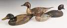 Duck Decoys
