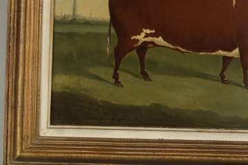 G. Sinclair, Prize Steer