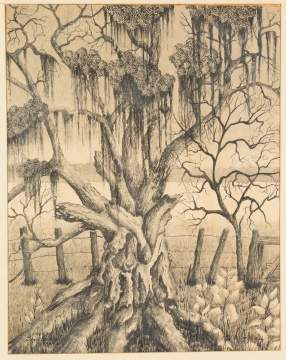 H. W. Vanderwall (American, Early 20th Century) "Live Oak"