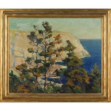 Fremonte Fassett, California coastline