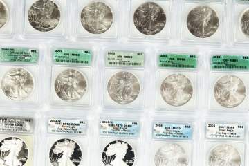 Estate Graded Silver Eagle Coin Collection