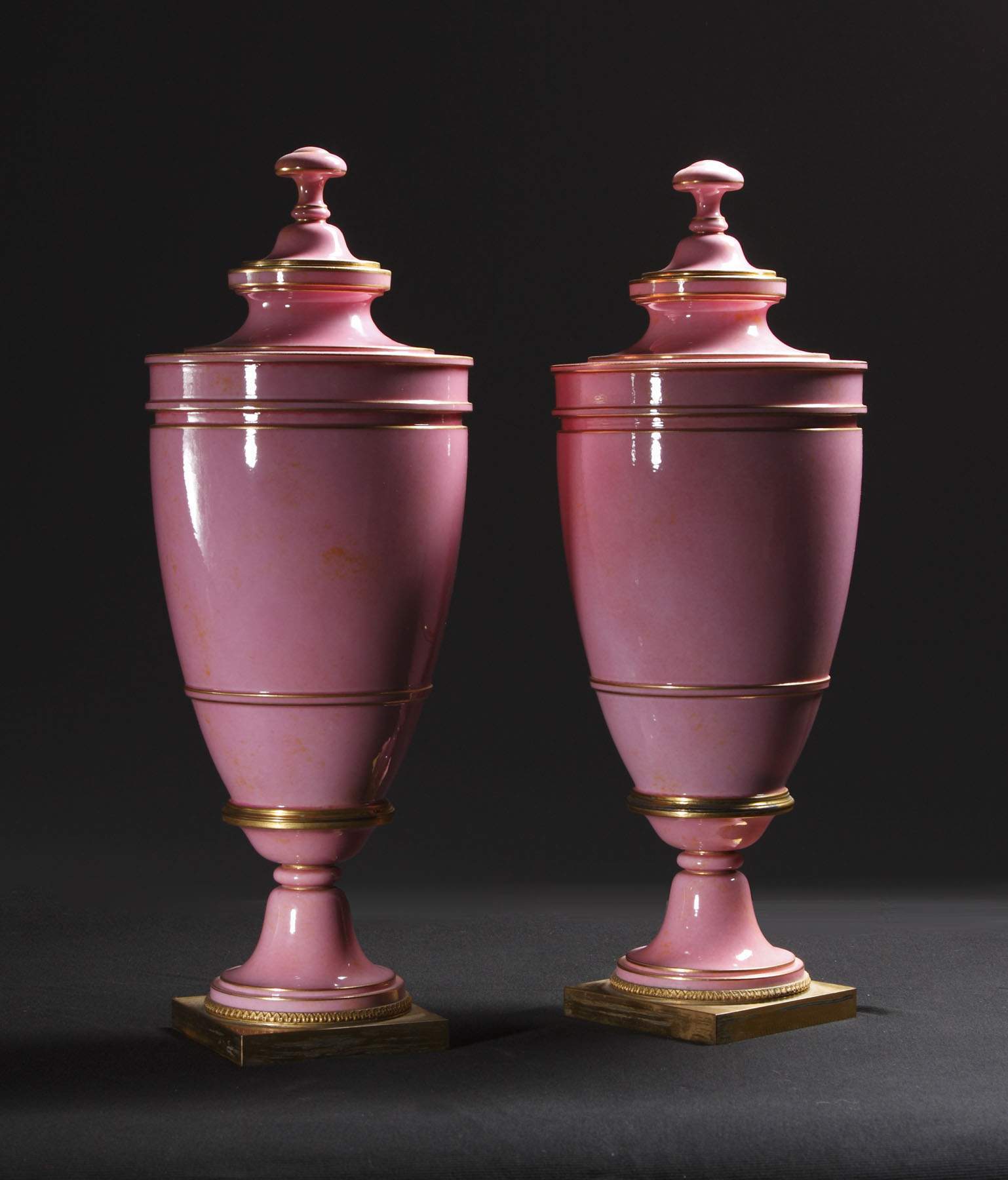 Pair of 19th Century Sevres Vases