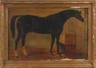 19th Century Horse Painting
