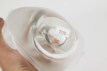 Lalique Vase with Two Doves