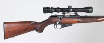 Winchester Rifle Wildcat