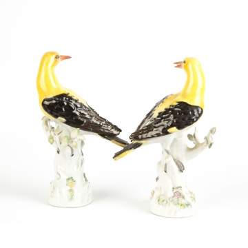 Meissen Figures of Golden Aurioles