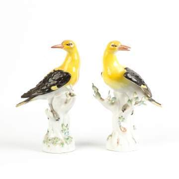 Meissen Figures of Golden Aurioles