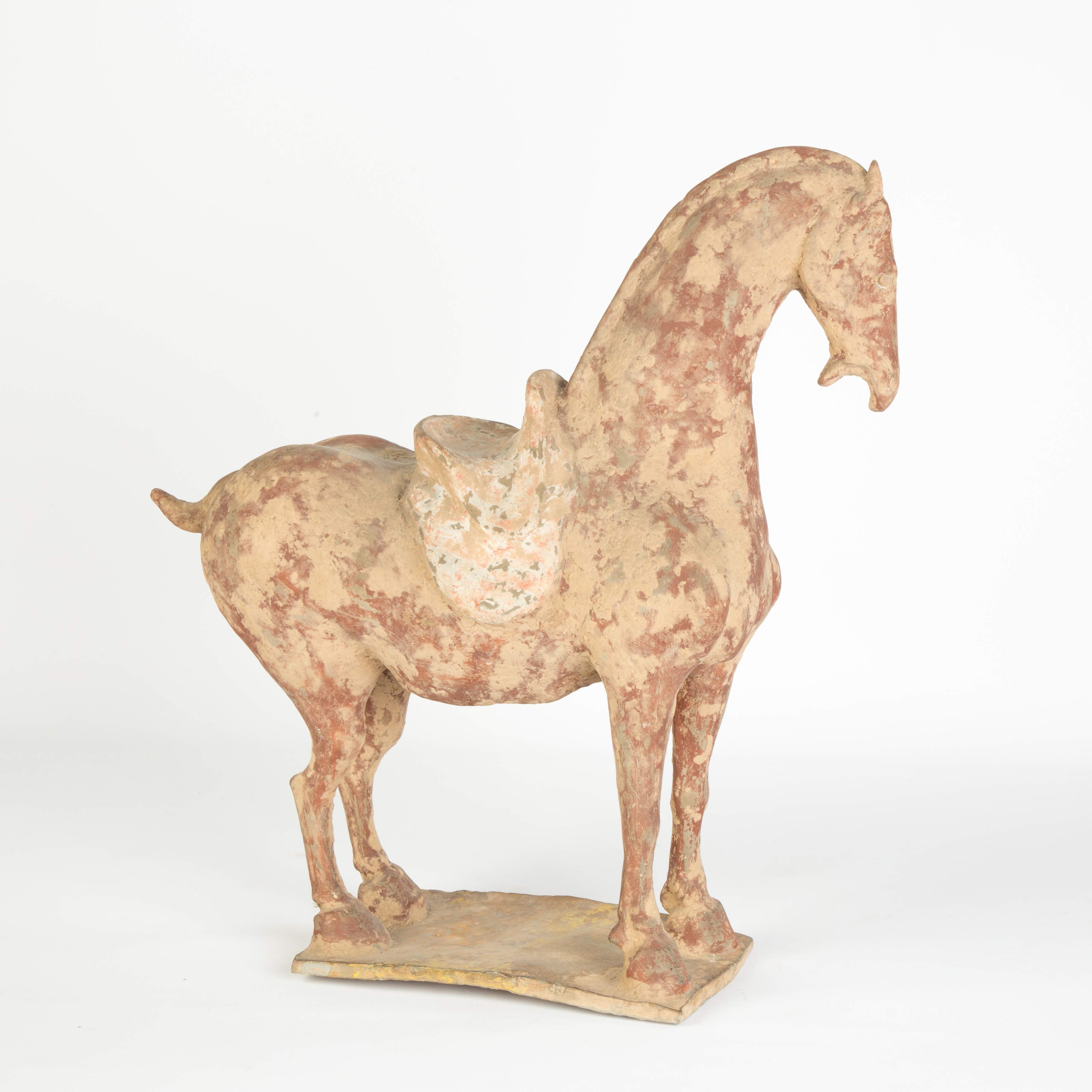Tang Style Pottery Horse Cottone Auctions