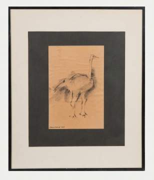20th Century Print of an Ostrich