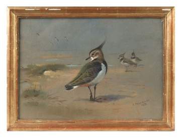 Two Archibald Thorburn (Scottish, 1860-1935) Shore Birds