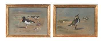 Two Archibald Thorburn (Scottish, 1860-1935) Shore Birds