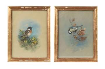 Two Archibald Thorburn (Scottish, 1860-1935) Song Birds