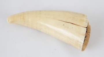 Scrimshaw Tooth with Whaling Scene