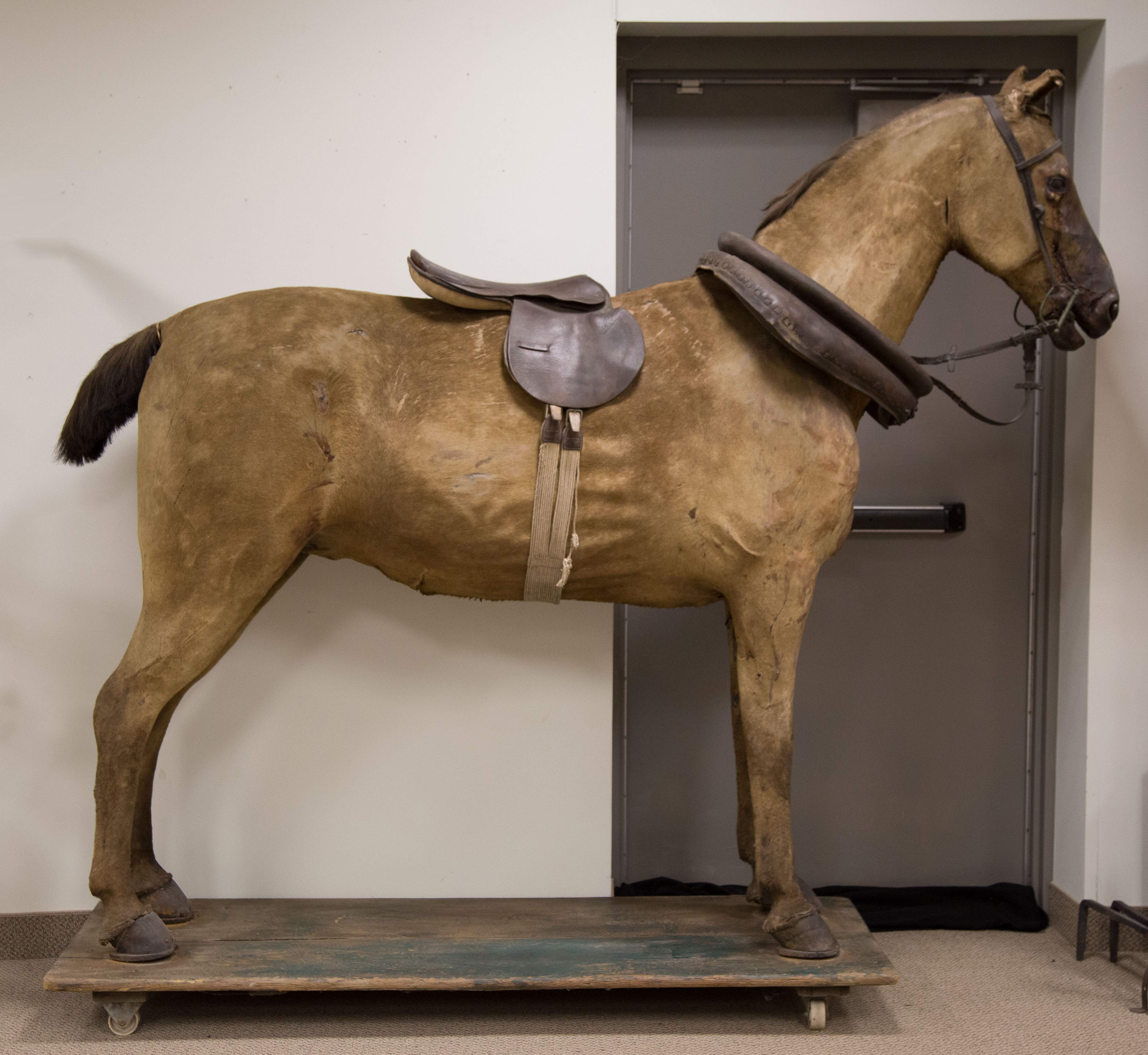 Tack Shop Horse Display Cottone Auctions