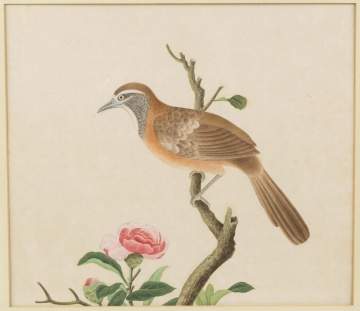 Early Watercolor of Bird and Floral