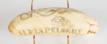 19th Century Scrimshaw, H.M.S. Pelorus, Auckland, New Zealand