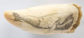 19th Century Scrimshaw Whales Tooth