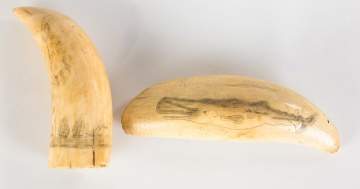 Two 19th Century Scrimshaw Whales Teeth