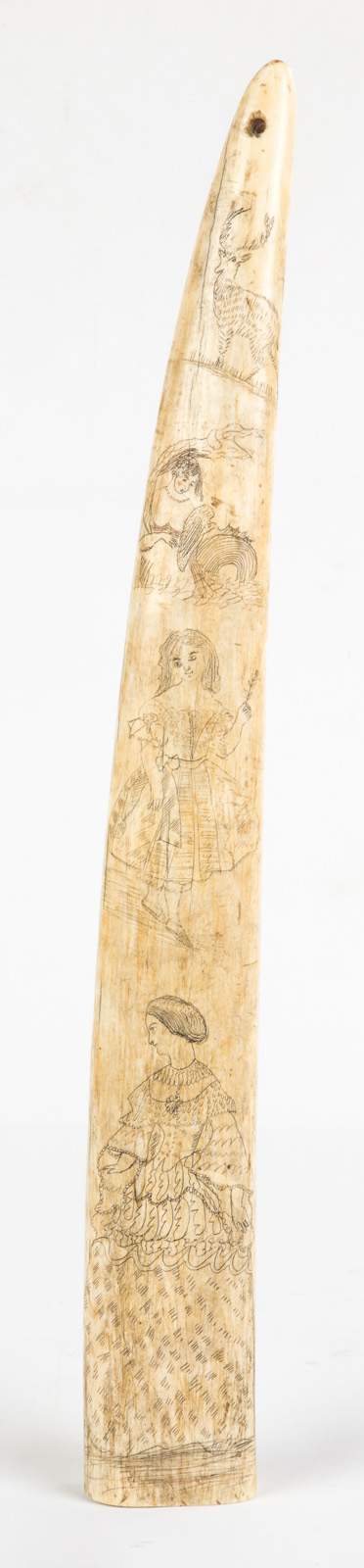 19th Century Carved Walrus Tusk | Cottone Auctions