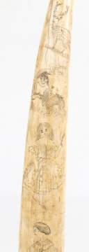 19th Century Carved Walrus Tusk