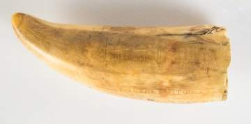 19th Century Scrimshaw Whales Tooth