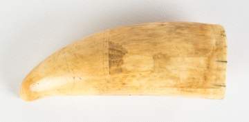 19th Century Scrimshaw Whales Tooth