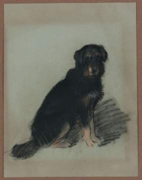 Attr. Archibald Thorburn (Scottish, 1860-1935)  Portrait of a Dog