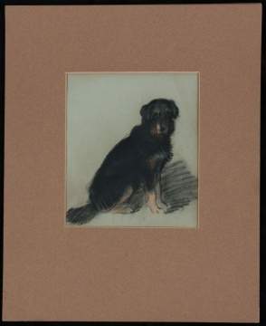 Attr. Archibald Thorburn (Scottish, 1860-1935)  Portrait of a Dog